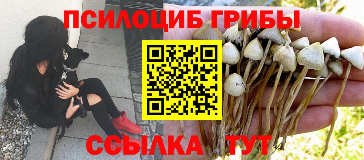 Псилоцибиновые грибы Magic Shrooms  Вход с VPN  Ялуторовск 