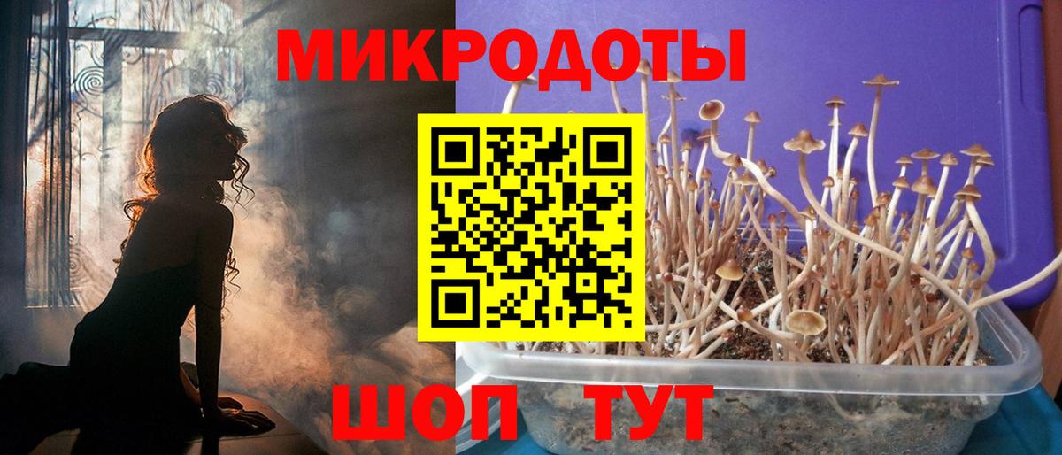 Псилоцибиновые грибы ЛСД Ялуторовск
